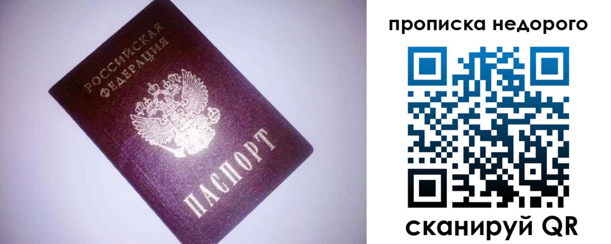 прописка для школы в Курганинске